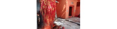 சாசாரம் - பீஹார்
